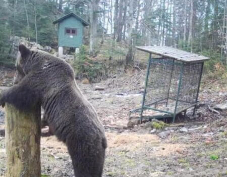 wta_2325_WhatsApp Image 2022-12-17 at 10.53.12 (10)