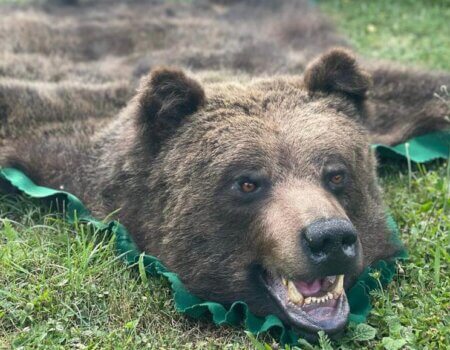 wta_2325_WhatsApp Image 2022-12-17 at 10.53.12 (4)