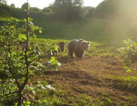 wta_2325_WhatsApp Image 2022-12-17 at 10.53.12 (5)