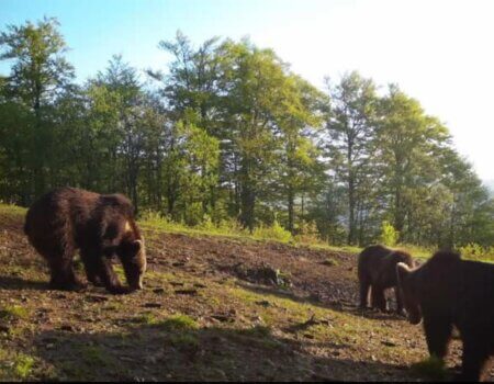 wta_2325_WhatsApp Image 2022-12-17 at 10.53.12 (8)