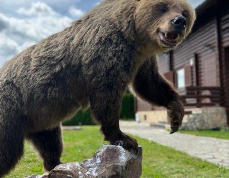 wta_2325_WhatsApp Image 2022-12-17 at 10.53.55 (7)