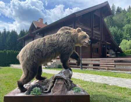 wta_2325_WhatsApp Image 2022-12-17 at 10.53.55 (8)