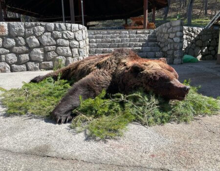 wta_2325_WhatsApp Image 2022-12-17 at 12.11.37 (1)