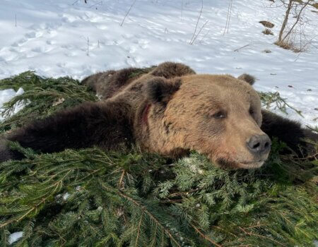 wta_2325_WhatsApp Image 2022-12-17 at 12.15.18