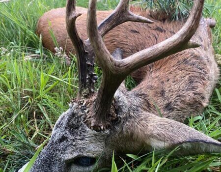 wta_2327_2842d45c-5f76-4b8a-8973-25ad838e0819