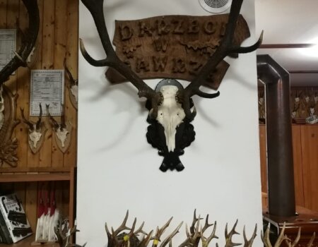 wta_2327_2a7d859c-693b-4fa5-a01c-022d68f2a2e0