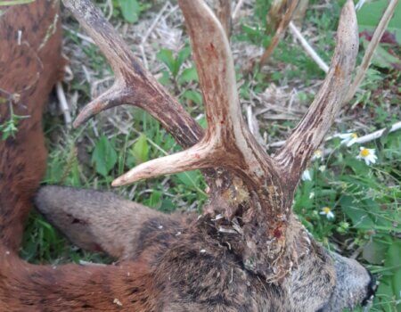 wta_2327_4838d6d5-5064-4c5d-b136-85fcad12d8c2