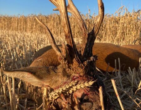 wta_2327_6547b59b-183d-462d-a903-98f336aad1a6