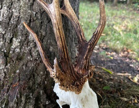 wta_2327_7b5162d7-efac-4e34-a50f-90aac9dceebb