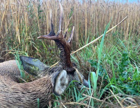 wta_2327_82df0aac-40f2-44c9-bad3-cfef3f9074f4