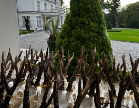 wta_2327_887ee115-0da8-4eab-a2ef-770412b83406