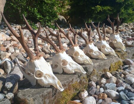 wta_2327_IMG_20250520_164647786_HDR