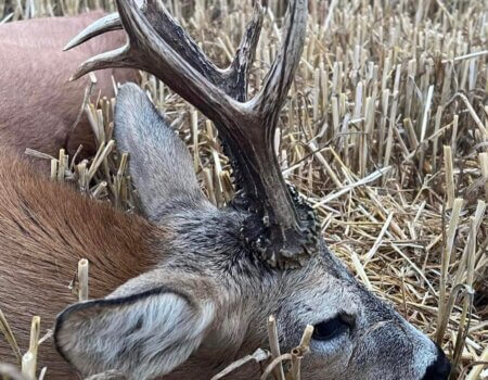 wta_2327_de1ec404-4ab4-487c-a6c3-ca30c4a4dcfa