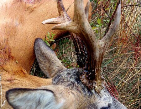 wta_2327_ec9744a8-07cf-42f4-ad87-237f51bcf99e