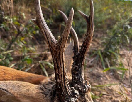 wta_2327_fb3c32cb-be28-4fca-89f4-9ca6f238d5c1