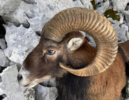 wta_2328_WhatsApp Image 2022-12-17 at 10.53.12 (11)