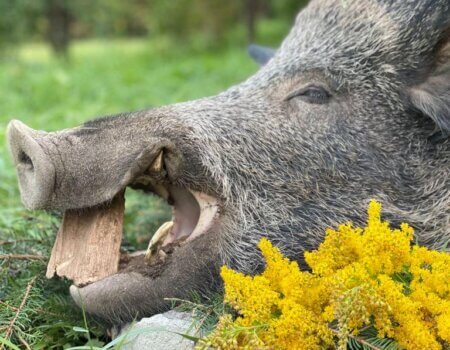 wta_2328_WhatsApp Image 2022-12-17 at 10.53.12