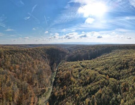 wta_2328_WhatsApp Image 2022-12-17 at 10.53.55 (13)