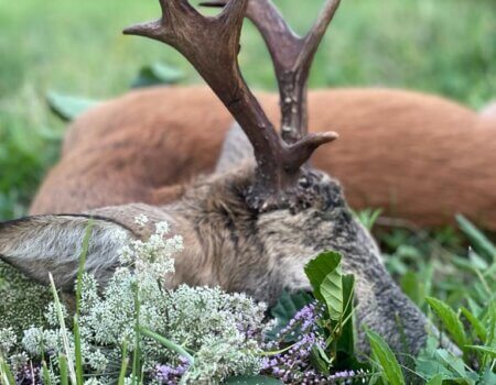 wta_2328_WhatsApp Image 2022-12-22 at 09.56.03 (1)