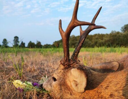 wta_2328_WhatsApp Image 2022-12-22 at 09.56.03 (2)