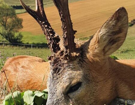 wta_2328_WhatsApp Image 2022-12-22 at 09.56.03 (3)