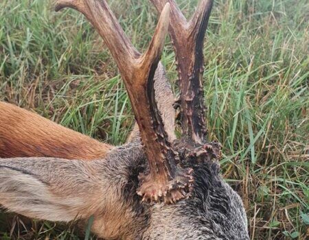 wta_2328_WhatsApp Image 2022-12-22 at 09.56.03 (4)