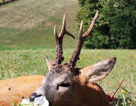 wta_2328_WhatsApp Image 2022-12-22 at 09.56.03