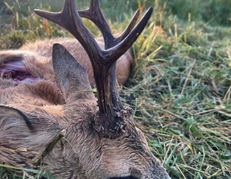 wta_2328_WhatsApp Image 2022-12-22 at 09.56.03 (5)