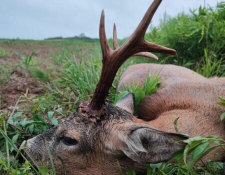 wta_2328_WhatsApp Image 2022-12-22 at 09.56.03 (6)