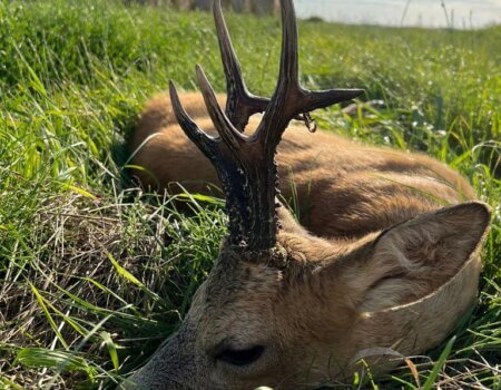 wta_2328_WhatsApp Image 2022-12-22 at 09.56.03 (7)