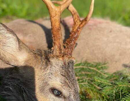 wta_2328_WhatsApp Image 2022-12-22 at 09.57.05 (1)