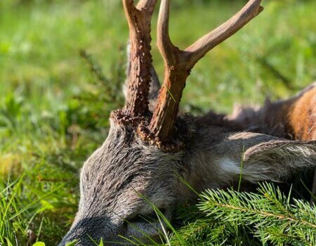 wta_2328_WhatsApp Image 2022-12-22 at 09.57.05