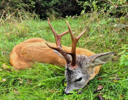 wta_2328_WhatsApp Image 2025-09-09 at 09.54.53