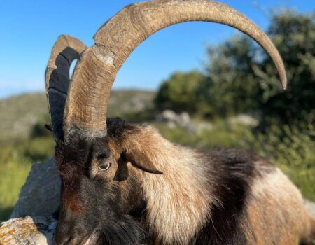 wta_2330_WhatsApp Image 2022-12-17 at 10.53.55 (3)