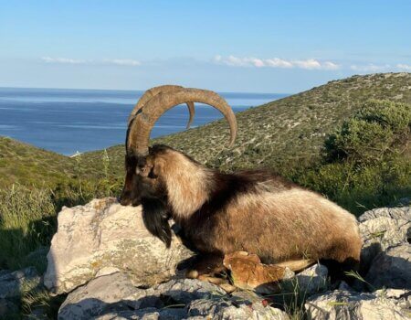 wta_2330_WhatsApp Image 2022-12-17 at 10.53.55 (4)