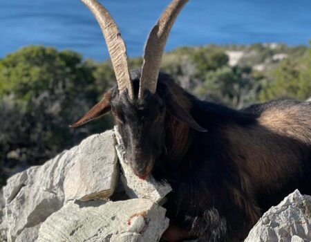 wta_2330_WhatsApp Image 2022-12-17 at 12.20.16