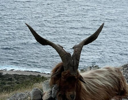 wta_2330_WhatsApp Image 2022-12-17 at 12.21.28