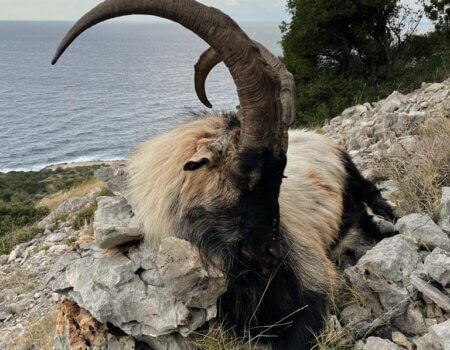 wta_2330_WhatsApp Image 2022-12-17 at 12.21.42