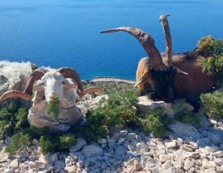 wta_2330_WhatsApp Image 2022-12-20 at 00.30.34