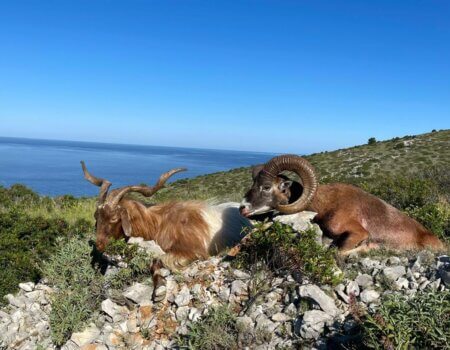 wta_2330_WhatsApp Image 2022-12-20 at 00.31.50