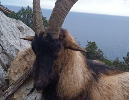 wta_2330_dd5dacd8-c23f-4b26-b9f4-a8cf49674480