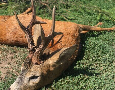 wta_2331_WhatsApp Image 2023-03-16 at 21.08.44 (1)