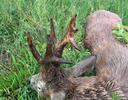 wta_2331_WhatsApp Image 2023-03-16 at 21.08.44