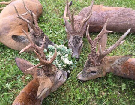 wta_2331_WhatsApp Image 2023-03-16 at 21.08.45 (1)