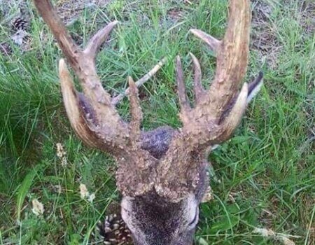 wta_2331_WhatsApp Image 2023-03-16 at 21.08.45