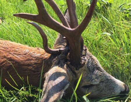 wta_2331_WhatsApp Image 2023-03-16 at 21.08.46