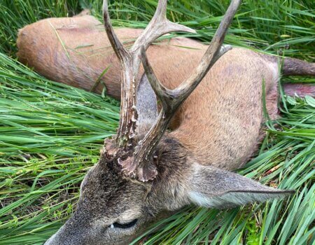 wta_2331_WhatsApp Image 2023-05-04 at 17.55.20 (1)