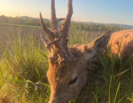 wta_2331_WhatsApp Image 2023-05-04 at 17.55.21 (1)