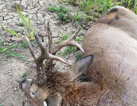 wta_2331_WhatsApp Image 2023-05-04 at 17.55.21