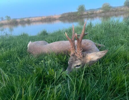 wta_2331_WhatsApp Image 2023-05-04 at 17.55.22 (1)